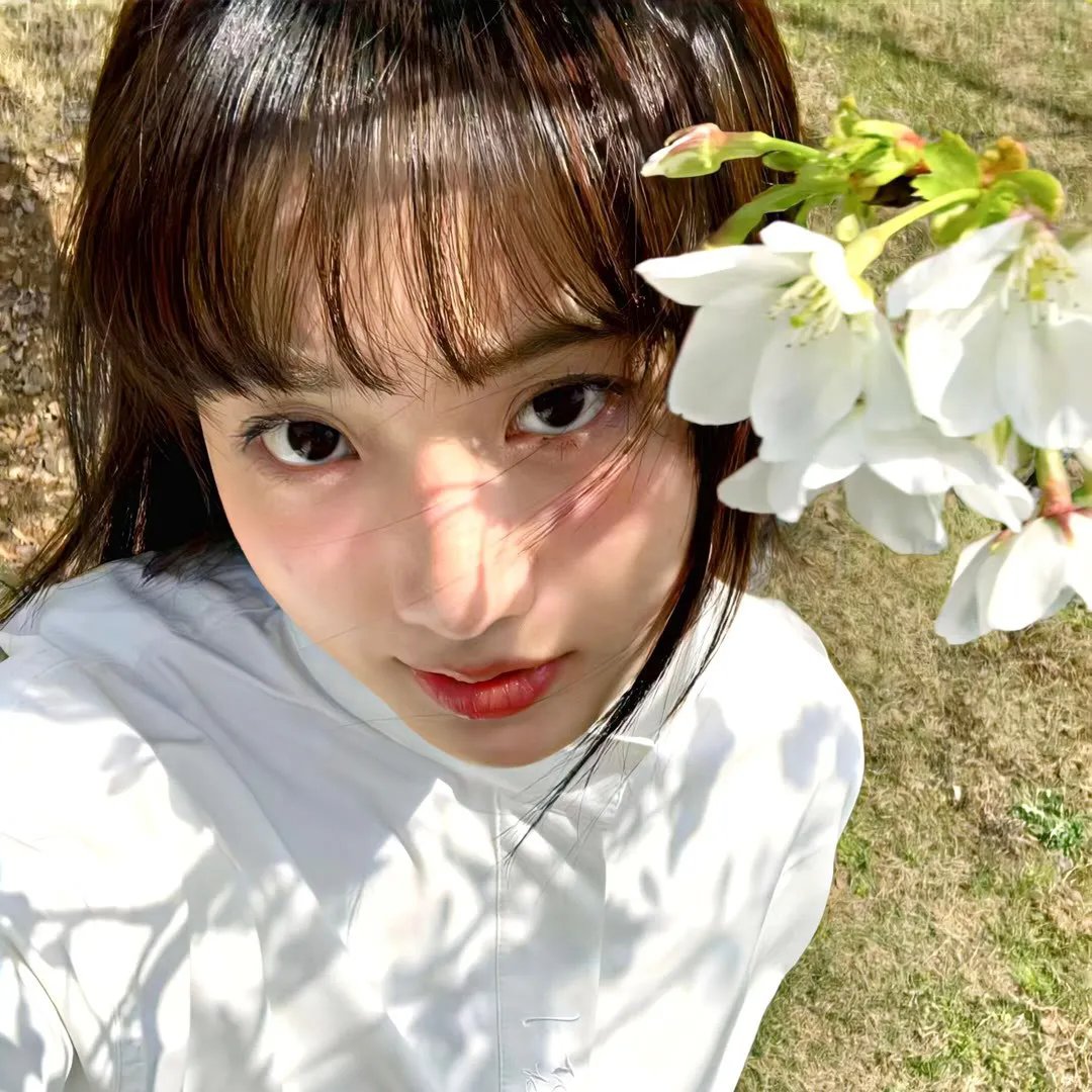 聪明的小母鸡
